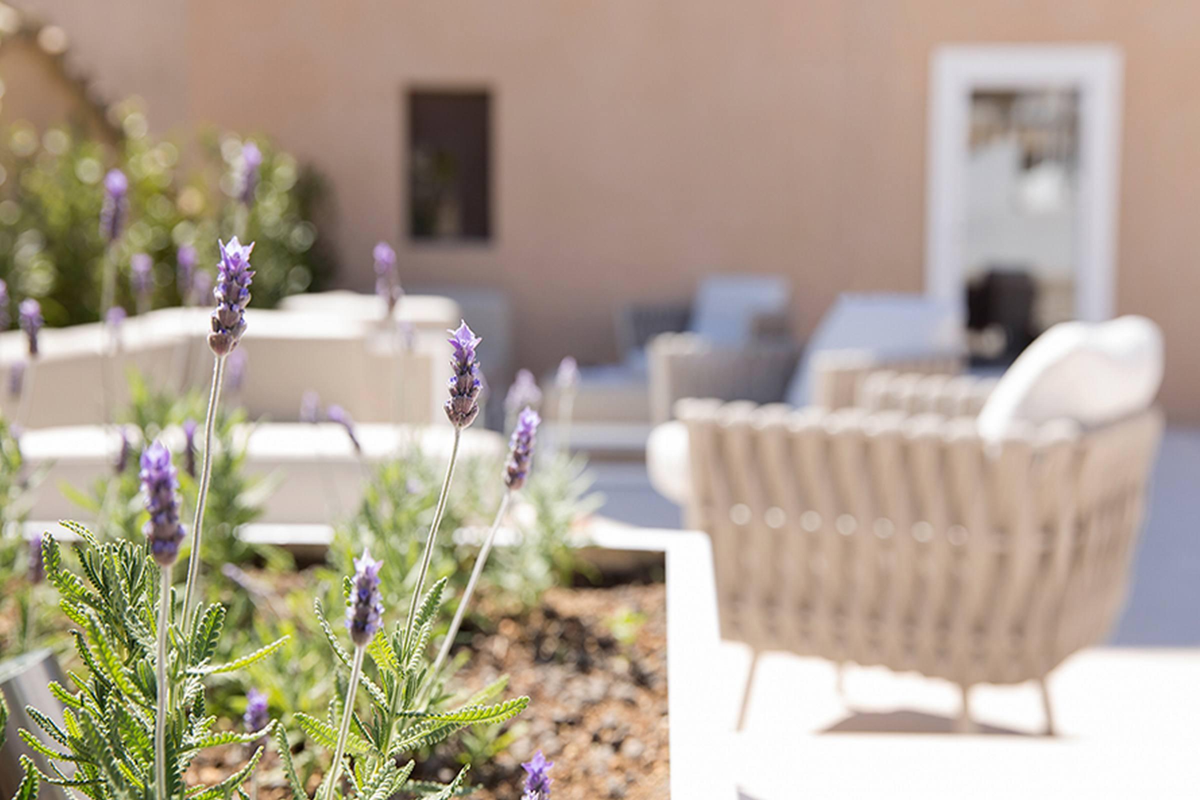 Convent De La Missio - Grand Luxury Boutique Hotel, Adults Only ميورقة المظهر الخارجي الصورة